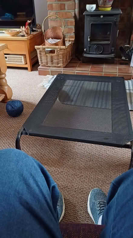 Photo of free dog bed (Gedling NG4) #1