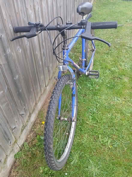 Photo of free Mountain bike (Dawlish) #2