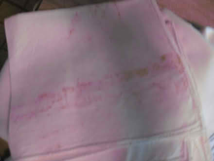 Photo of free Stained vtg linen tablecloth (Foss Park Somerville) #2