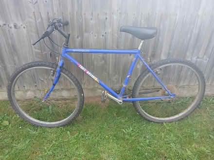 Photo of free Mountain bike (Dawlish) #1