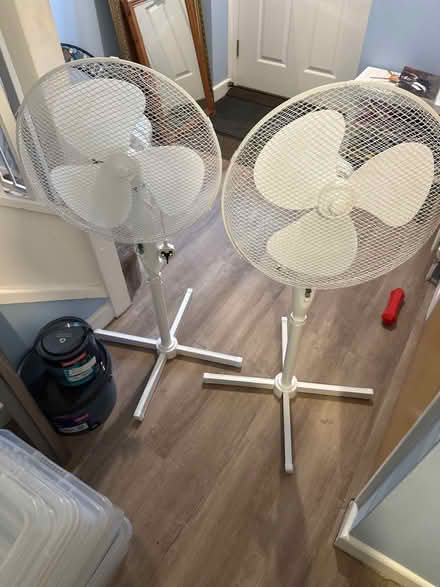 Photo of free Pedestal fan (Leigh) #1