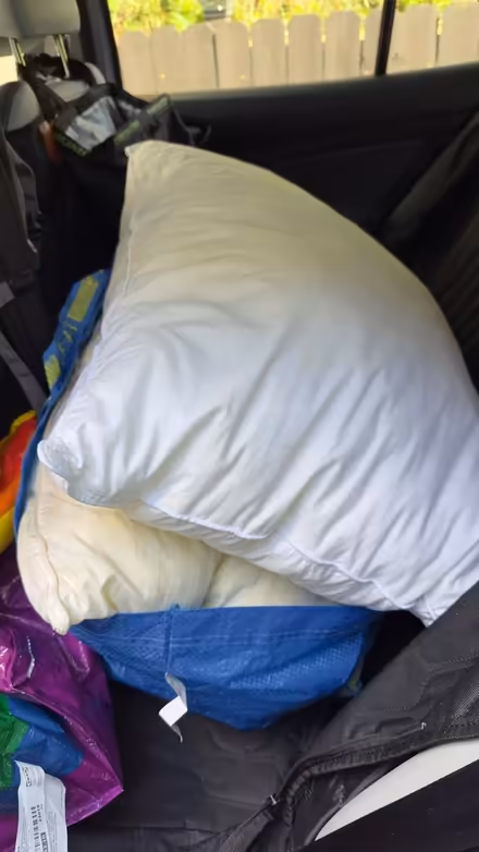 Photo of free Not new pillows (Arcadia 21214) #1