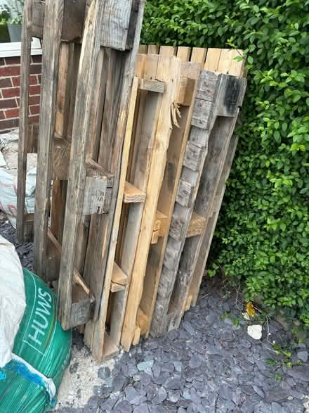 Photo of free 5 pallets for fire wood (DE56 Far Laund) #1