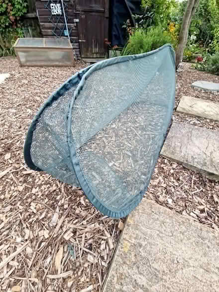 Photo of free Mess cloche. (Oldends Farm GL10) #1