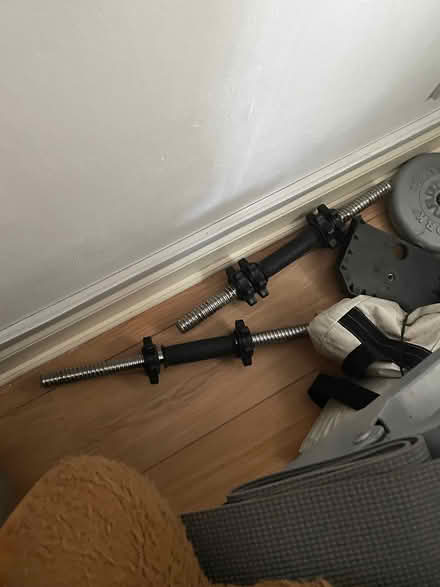 Photo of free Free weights (Burgh Heath KT18) #1