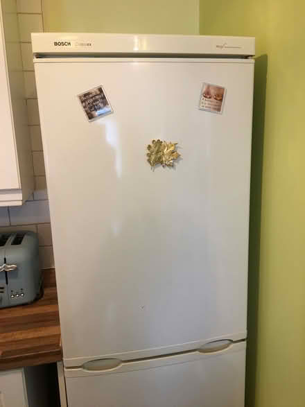 Photo of free Fridge-Freezer Bosch Classic XX (Torquay) #2