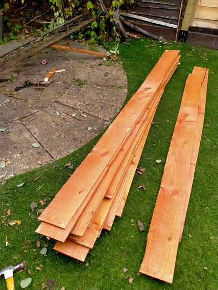 Photo of free Slats off a fence panel. (Ealing W13) #1