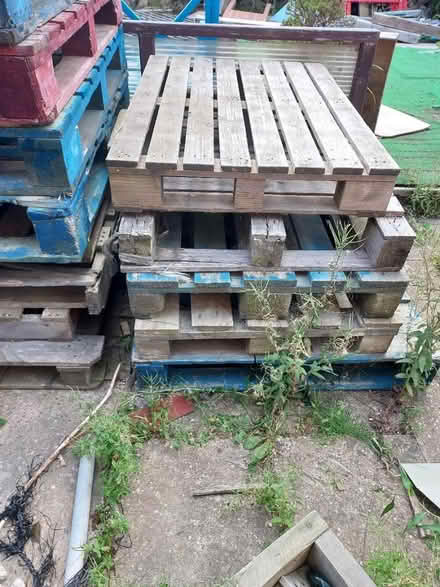 Photo of free Pallets (High green S35) #2