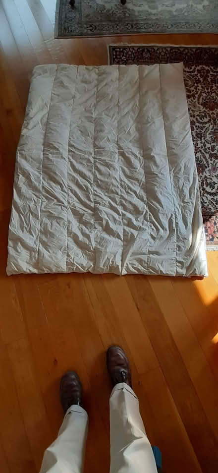 Photo of free Single duvet (Biddenham MK40) #1