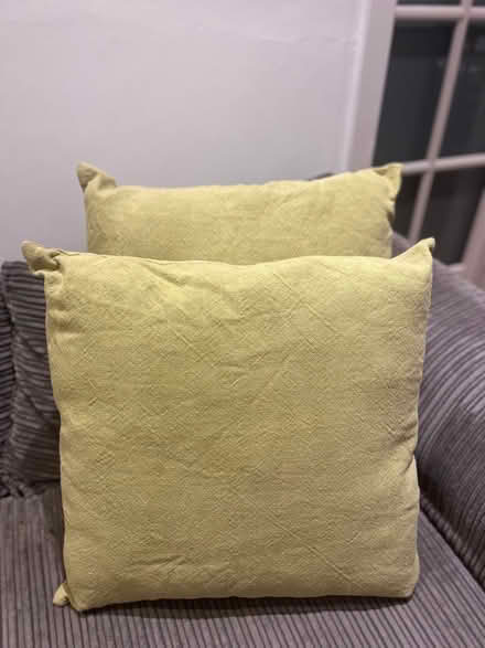 Photo of free Cushions (EN2) #1