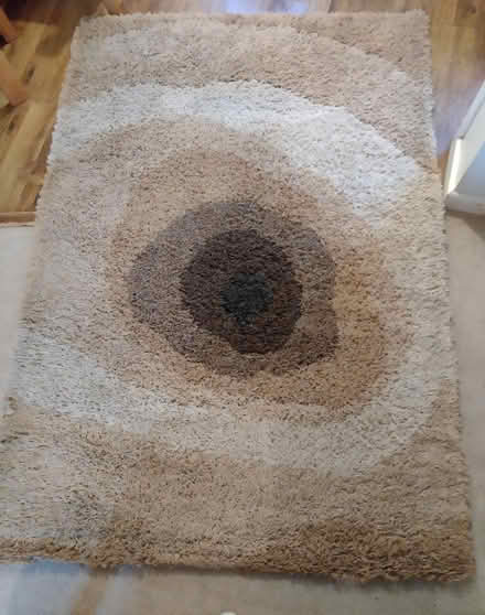 Photo of free Rug (Braintree CM7) #1
