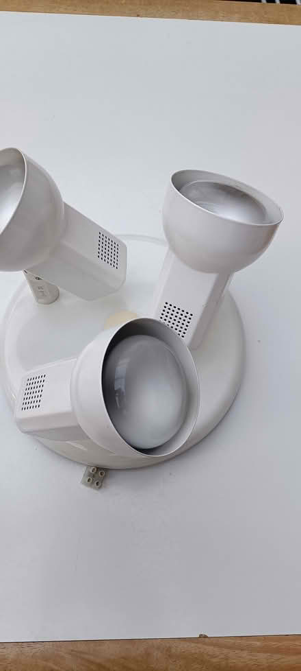Photo of free Ceiling light (Snodland) #2