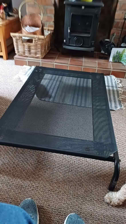 Photo of free dog bed (Gedling NG4) #2