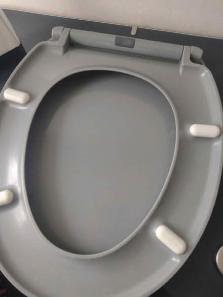 Photo of free Toilet seat (North Kensington W10) #4