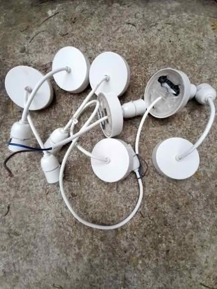 Photo of free Seven Plastic Ceiling Roses (West Marina TN38) #1