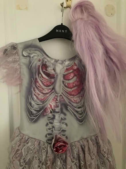 Photo of free Zombie princess costume (Sevenoaks (near station)) #2