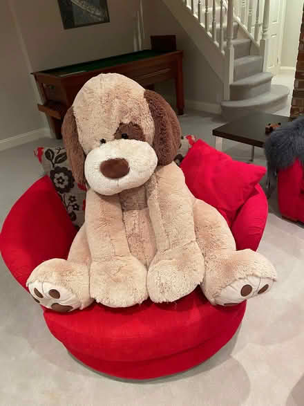 Photo of free Large Lovable Cuddly Dog Toy (Finchampstead RG40) #2