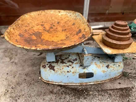 Photo of free Scales (Stubbington PO14) #1