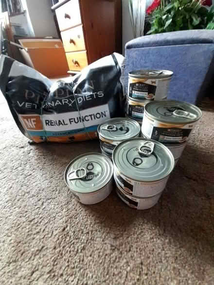 Photo of free Kidney failure cat food (Kings Heath B14) #1