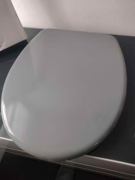Photo of free Toilet seat (North Kensington W10) #1