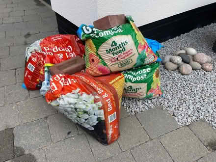 Photo of free Bagged Soil (Lee-on-the-Solent PO13) #1