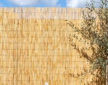 Photo of Bamboo screening (Robinswood GL4) #1