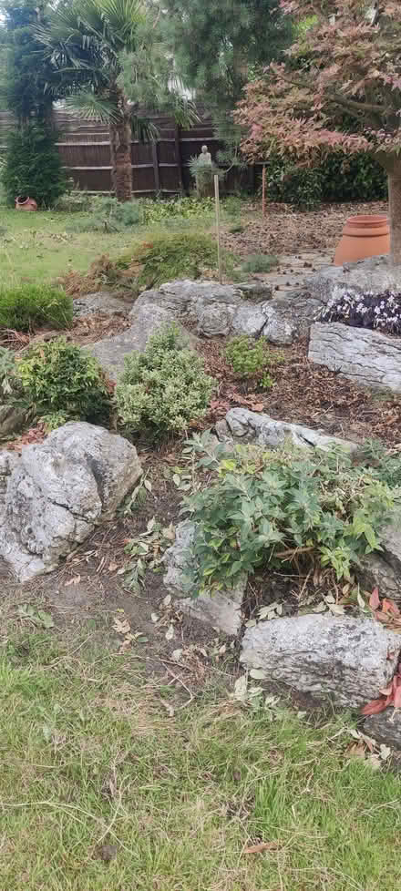 Photo of free Rockery (Molesey KT8) #1