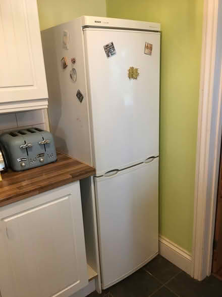 Photo of free Fridge-Freezer Bosch Classic XX (Torquay) #1