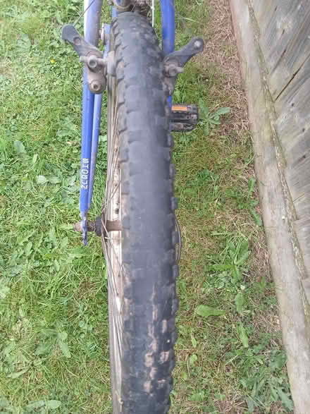 Photo of free Mountain bike (Dawlish) #3