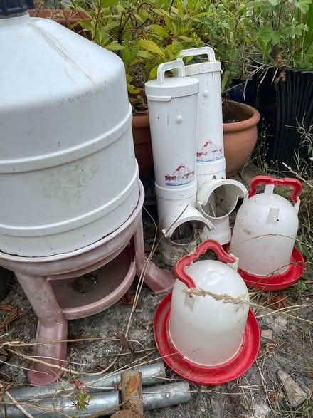 Photo of free Chicken Feeder/ Water (Earley RG6) #1