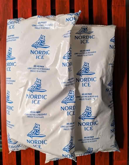 Photo of free Ice packs (2) (Allston) #1