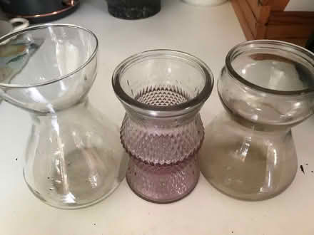 Photo of free 3 Hyacinth bulb vases (Reading West RG1) #1