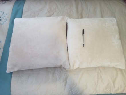 Photo of free A pair of cushion (Eltham SE9) #1