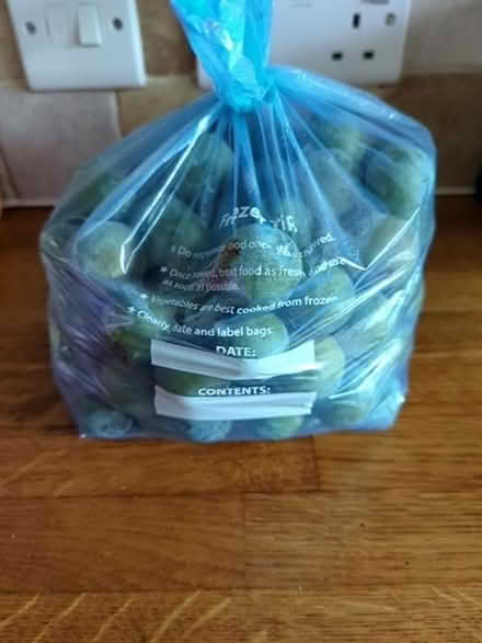 Photo of free Bag of greengages (Calverton MK19) #1