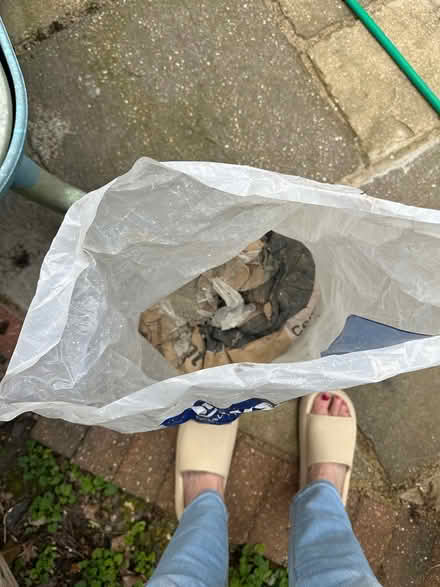 Photo of free Half bag cement (Northchurch, Herts) #1