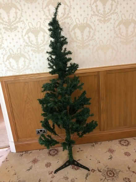 Photo of free Christmas tree (Hesketh Bank PR4) #1