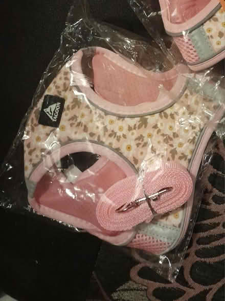 Photo of free Medium dog harness (Canford Heath, BH17 8) #1