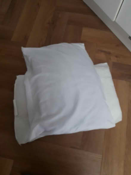 Photo of free 2 pillow inserts (L18) #1