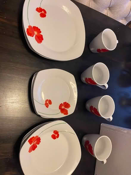 Photo of free Poppy dinner set (South Park OX4) #2