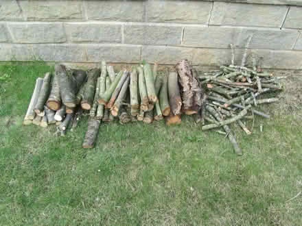 Photo of free Logs (Littleover DE23) #1
