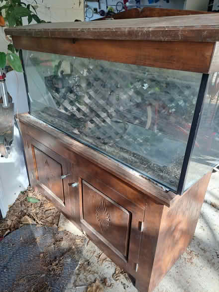 Photo of free Fish tank stand and filter (Alexandra Headland) #1