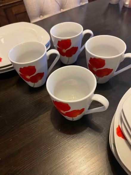 Photo of free Poppy dinner set (South Park OX4) #3