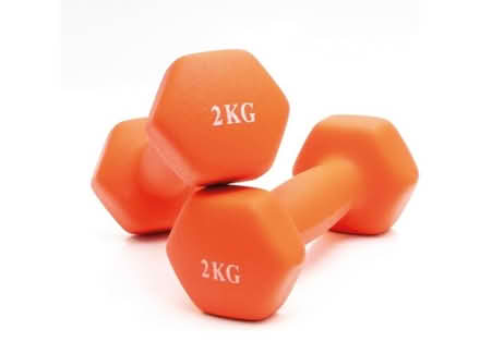 Photo of Small dumbbells / weights (Elvington CT15) #1