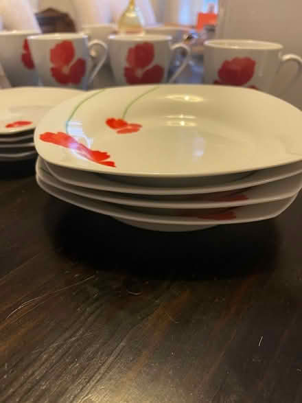Photo of free Poppy dinner set (South Park OX4) #1