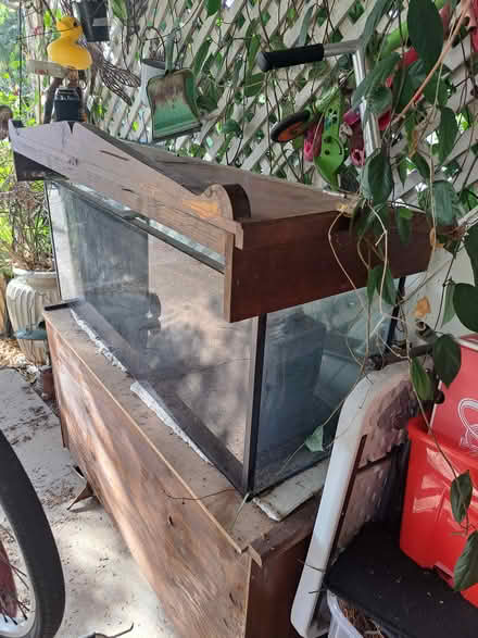 Photo of free Fish tank stand and filter (Alexandra Headland) #2