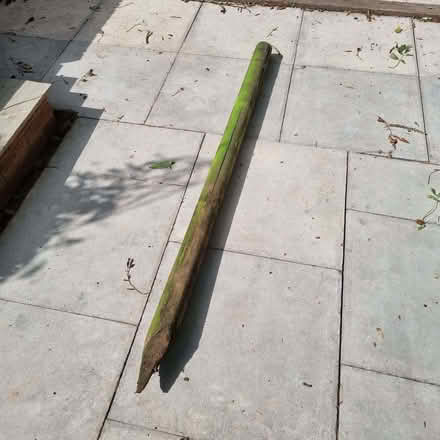 Photo of free Tree support spike (Barnard's Green WR14) #1