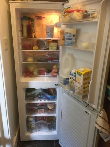 Photo of free Fridge freezer (South elmsall WF9) #3