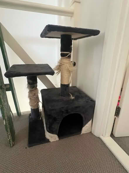 Photo of free Cat scratcher shelves (Hawley) #1
