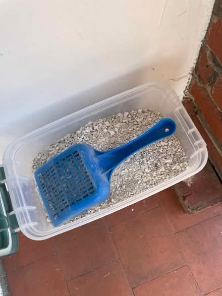 Photo of free Cat litter (Colchester CO4) #2