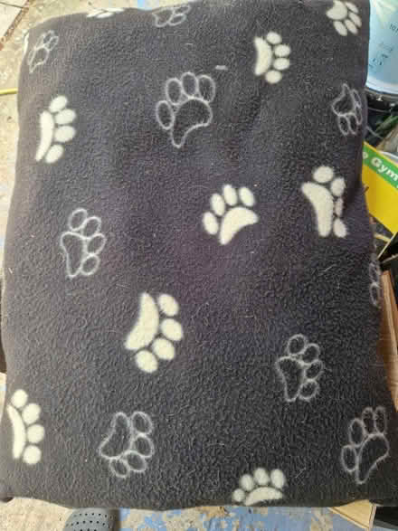 Photo of free Dog cushion (Broxbourne EN10) #1